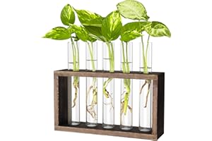 IVOLADOR I Ivolador Wall Mounted Hanging Plants Test Tube Flower Bud Tabletop Glass Terrarium Wooden Stand with 5 Test Tube Perfect for Propagating Hydroponic Plants Home Garden Wedding Decoration