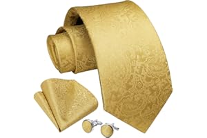 Enlision Cravatta Uomo Eleganti Paisley Floreale Set Cravatta e Fazzoletto Gemelli per Matrimonio Festa Cravatte e Pochette