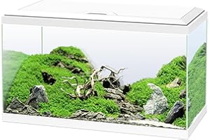 Ciano, Aquarium 60 Blanc, pour Poissons, Équipé d'un Filtre, Consommables, LED et Chauffage, 58L, Emballage Renforcé pour Envoi Web