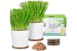 The Cat Ladies Kit Coltivazione di Erba per Gatti - 2x Vaso con Semi da Piantare e Terriccio - Vasi in Ceramica e Sottovaso in Bambù - Aiuta Contro Boli di Pelo