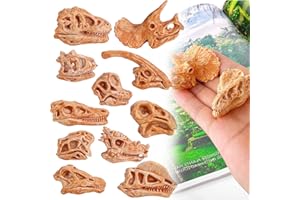 BOTUK 11PCS Mini Dinosaur Head Skeleton Realistic Dinosaur Bones Authentic Texture And Articulation Non-Toxic Paint Dinosaur Fossils Inspire children's creativity for Gift And Party Favor Decorations