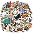 magi gift 80 Pcs Funny Rainforest Animal Vinyl Stickers for Kids Teachers Students Zoo Waterproof Water Bottle Laptop Scrapbook Binders Skateboard Bike Car School Supplies Party Favors