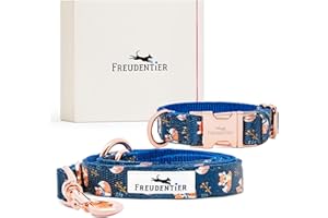 FREUDENTIER® Hundehalsband und Leine (2m) im wundervollen Set - Let's get Foxy Kollektion - 3-Fach verstellbare Führleine - Für mittelgroße & große Hunde (37-58cm Halsumfang)