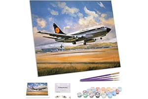 TAHEAT DIY Ölgemälde nach Zahlen, Leinwand Ölgemälde Flugzeug für Erwachsene und Zeichnung Anfänger Malerei nach Zahlen ohne Rahmen 16 x 20 Zoll