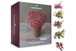 Grow Your Own SUPERFOOD - RUBYLICIOUS Asian MICROGREENS KIT by Verdant Republic | Sprouting Seeds Beginners Gardening Gift Set | Harvest in 2 Weeks | 5 Seed Varieties