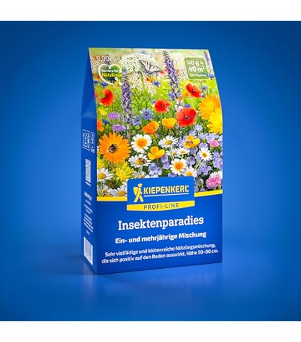Blumenmischung Original Mssinger Sommer fr 6 m von Saatgut-Manufaktur :  Amazon.de: Garten