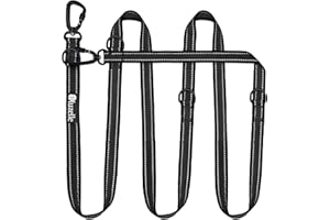 bluzelle Guinzaglio per Cani Taglia Grande Fino a 100kg, 3m Guinzaglio Doppio Forte Regolabile per 2 Cani, 2X Extra Robusto Moschettone in Alluminio a 360°, Guinzaglio A Mano Libera, Colore:Nero