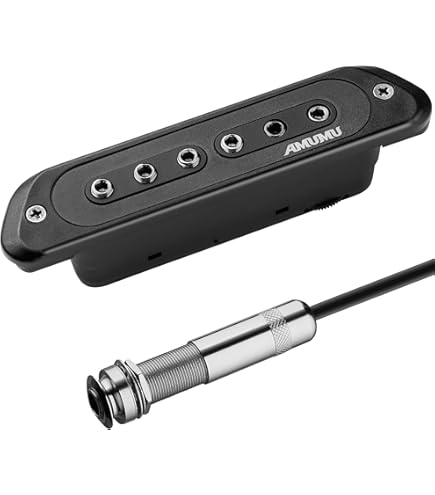 Fishman Neo-Buster Humbucking Soundhole Pickup & Feedback Buster