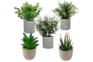 CAIXINYI 5 Pièces Plantes Artificielles Interieur,Plante artificielle interieur pour décoration de salon de cuisine,Fausse Plante Interieur pour Balcon bureau Decoration salle de bain,Mini plante artificielle