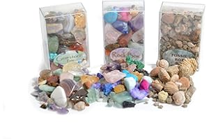 BRITISH FOSSILS Fossil, Rock and Gemstone Box Collection. Set of 3 Boxes