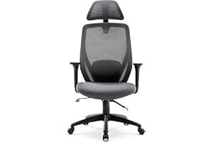 HNNHOME Recline Ergonomic Office Chair with Back Support and Headrest, Tilt Function Position Lock, Home Office Computer Desk Chair with Lumbar Support, Breathable Mesh Executive Office Chair