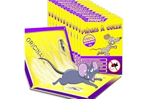 PIRABADI 20 piezas de ratón profesional listo para usar, fácil de usar, rodamientos Reptile rat CAFARD ETC... | Placa adhesiva muy fuerte, no tóxica | Marca 100% francesa