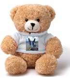 Leone peluche personalizzato con foto o scritta sulla maglietta
