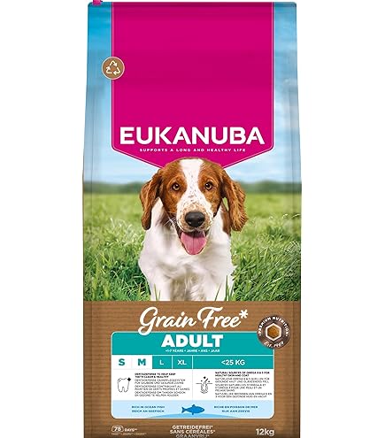 Verse Kip & Ginseng Adult Regular - 2kg - Vigor & Sage