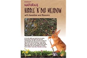 Rosewood Naturals Nibble 'n' Dig Meadow, Small Animal Treat and Toy for Rabbits, Guinea Pigs, Chinchillas and Degus, Rich in Hay and Herbs