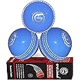 ONEGlobal Incrediball Soft Practice Cricket Ball | Outdoor & Indoor Rubber Cricket Ball With Core & Stitched Seam | For Practice, Honing Skills & Family Fun