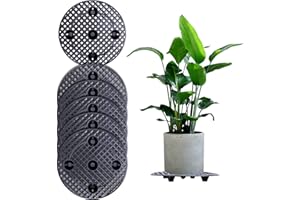 GAESHOW 6 Elevador para Macetas de Nivel de Plantas, Soporte para Macetas con Agujeros de Drenaje y Posavasos, Almohadillas de Malla para Interiores y Exteriores (30cm)