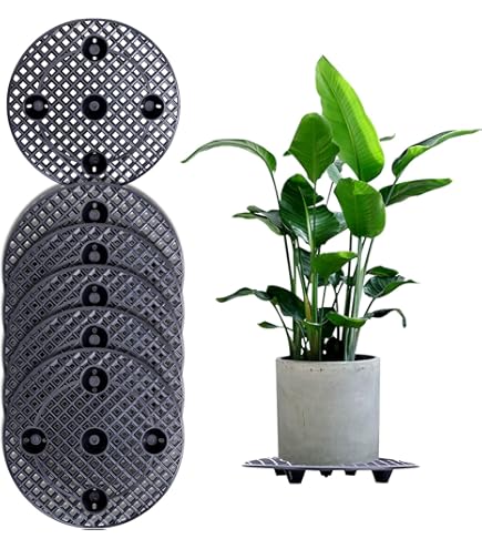 Terploc Grove Bags Sacchetti Umidità Controllata 58-62% | 5 Pezzi Per Erba Aromatica - Foto 5