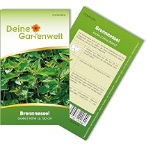 Brennnessel Samen 20.000 Brennnessel-Samen (Urtica Dioica) - Mehrjhriges  Heilkraut Zum Selbst Anbauen Urtica Dioica Heilpflanze Saatgut