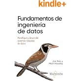 Fundamentos de ingenier&iacute;a de datos: Planifique y desarrolle sistemas robustos de datos