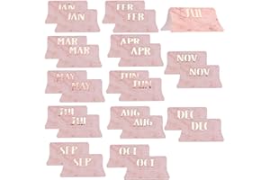 AIEX 24Pcs Monthly Tabs Calendar Stickers, Monthly Calendar Stickers Tabs Adhesive Index Tabs for Planners, Journal, Notebook, Agendas and Organizers, Office and Sturdy (Pink)