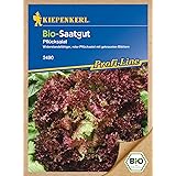Pflücksalat Lollo Rossa Bio - Saatgut