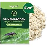 Legona Nematoden zur Bekämpfung von Trauermücken - 5m² Blumenerde / 2,5 Mio / 30 Pflanzen - Bio Schädlingsfrei Gießmittel für