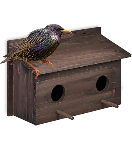 dobar® Green Label 22365FSCe nestkast, kolenmees - Mezenkast van hout - nesthulp voor wilde vogels - nestplaats met zeefdrukmotief kolenmees - 32 mm dobar® Green Label 22365FSCe nestkast, kolenmees - Mezenkast van hout - nesthulp voor wilde vogels - nestplaats met zeefdrukmotief kolenmees - 32 mm