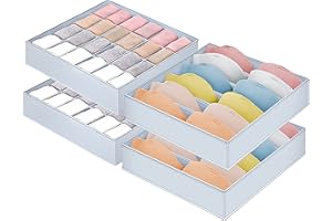 HINREY Organizer Armadio Salvaspazio, Organizzatore Armadio pieghevole Organizer Calzini Organizer cassetti intimo con cerniera per Biancheria intima, mutande, calze e cravatte 2+2 Pezzi 34*34*10cm