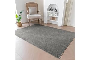 Evitany Large Rugs for Living Room Rug Low Pile Carpet Non-Slip Rugs Washable Rugs for Bedrooms Room Kitchen(Dark Grey,120x160 cm)