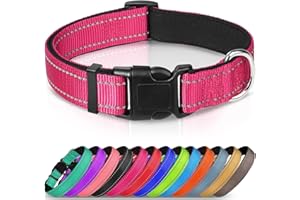 Joytale Collar Perro Reflectante,Nylon Collar Acolchado con Neopreno,Ajustable para Perros Pequeño,30-40cm,Rosa Caliente