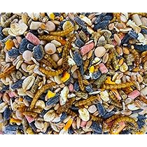 Pellet Di Sebo Con Vermi Della Farina | 500g | Mangime Per Uccelli Selvatici | Naturale E Nutriente - Foto 2