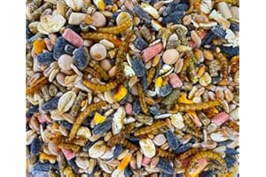 UGF UNDERGROUND FOOD UGF - Nourriture pour Oiseaux Oiseaux Sauvages Toute l'année 5kg, Nourriture pour Oiseaux Sauvages avec graines de Tournesol, vers de Farine et Neuf Autres ingrédients