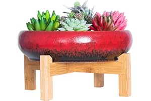 ARTKETTY Doniczka na sukulenty, duża doniczka bonsai ze stojakiem, płytka doniczka na rośliny kaktusowe z ekranem drenażowym, 25,4 cm, ceramiczna miska na rośliny do użytku wewnątrz i na zewnątrz,