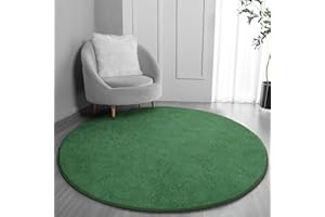 FlyDOIT Round Area Rugs for Bedroom Living Room, 4x4 Green Super Soft Comfy Thickened Memory-Foam Indoor Circle Carpets, Modern Aesthetic Minimalist Carpet for Boys Girls Adults Nursery Home Décor