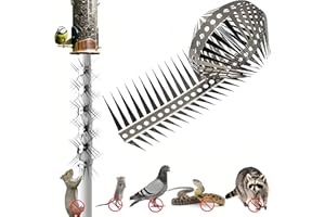 WUYUE HUA Anti Animal Climbing Thorns Bird Spikes Squirrel Baffle Squirrel baffles for Bird feeders Squirrel Repellent Pigeon Deterrent Bird nest Preventer Repel Squirrels (M: Thorn Length 3cm)
