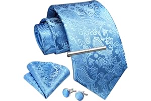 Enlision Cravates Hommes Paisley 9CM Cravate et Pinces à Cravate et Boutons de Manchette et Carre de Poche Emsemble