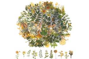 Tyqour 120Pcs Plant Stickers for Scrapbooking Nature Leaf Floral Stickers PET Transparent Waterproof Aesthetic Sticker Scrapbook Supplies Kit for Junk Journal Planner Laptops