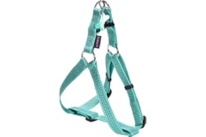 BOBBI BROWN Bobby Safe - Pettorina per Cani di Taglia Media, Riflettente e Resistente, con Doppio Anello in metallo, Colore Turchese, Taglia M/circonferenza petto 44-62 cm