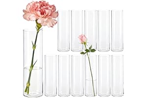Der Rose Små vaser för bordsdekoration 15 cm Cylindervaser Set Modern blomvas för hem Bröllop Festdekoration 24 stycken