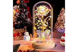 BOLEi Rose in vetro regalo per lei, rosa eterna in vetro, fiore galassia eterna con LED in cupola di vetro, regalo di compleanno, per donne, matrimonio per lei, sorella, mamma, nonna