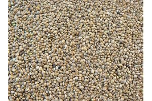 KAMPOL 5kg Hanfsamen normal