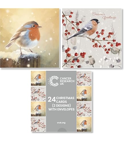 Biglietti Di Natale Beneficenza | 5 Cartoline Con Pupazzo Di Neve | Sostieni Age UK, British Heart Foundation, Marie Curie, Mind