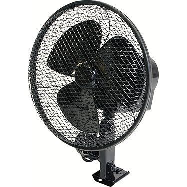 12V