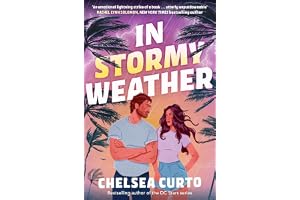 In Stormy Weather: The BRAND-NEW for 2026 scorching hot, rivals to lovers romance from the bestselling author of THE DC STARS series!