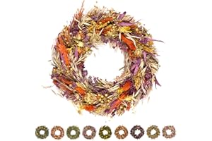 PHILARO Trockenblumenkranz All Seasons Ø 29cm bunt - kein Plastik I Trockenblumen Premium Qualität aus Europa - Türkranz - Tischkranz - Wandkranz - Trockenblumenkranz