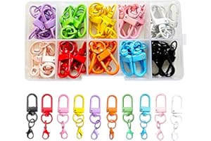 Fubuuf 40 Pièces Pivotantes Fermoirs pour Homard Petit Mousqueton Porte-clés en Métal pour Travaux Manuels, Sacs, Accessoires de Bricolage, avec Boîte de Rangement Transparente, 10 Couleurs