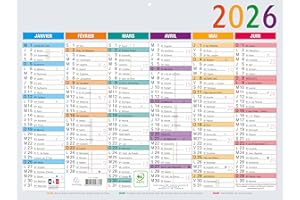 Exacompta - 34303E - Calendrier semestriel Multicolore - 29,5 x 22 cm - Janvier à décembre 2026 - Coloris multicolore