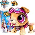 Colorific Paw Patrol Skye - Robotic Build-A-Bot Paw Patrol Toys for 3 Year Old Boys, 4 Year Old Girls, and Above - 20 Piece Stem Educational Toys for Kids Ages 3-10