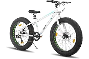 ‎HH HILAND Hiland Fat Tire 24/26 Zoll Mountainbike mit Doppelscheibenbremse, 7-Gang Mountainbike für Jungen und Mädchen, Strand und Schnee Fahrrad, Blau/Grün/Weiß/Silber